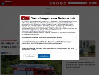 Bild zum Artikel: Tierrettung in Hagen - Hündin ertrinkt fast in Fluss - Feuerwehr rettet Boxer Inka aus der Lenne