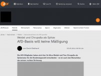 Bild zum Artikel: Weidel und Chrupalla sind AfD-Spitzenduo