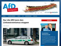 Bild zum Artikel: Nur die AfD kann den Linksextremismus stoppen