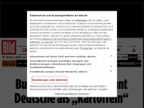 Bild zum Artikel: Rassismus-Kampagne - Bundeszentrale verhöhnt Deutsche als „Kartoffeln“