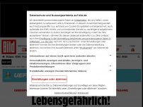 Bild zum Artikel: Unglaubliche Szene vor Anpfiff - Aktivist landet mitten auf dem Rasen