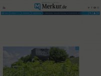 Bild zum Artikel: Kleine Cannabis-Plantage im Peißenberger Kreisverkehr