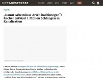 Bild zum Artikel: „Damit Arbeitslose Arsch hochkriegen“: Kocher entlässt 1 Million Schlangen in Kanalisation