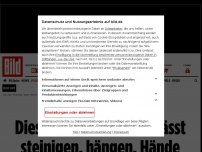 Bild zum Artikel: Nach Bundeswehr-Einsatz - Taliban wollenFrauen und Schwule steinigen