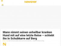 Bild zum Artikel: Mann nimmt seinen unheilbar kranken Hund mit auf eine letzte Reise – schiebt ihn in Schubkarre auf Berg