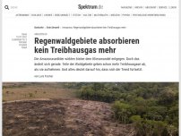 Bild zum Artikel: Amazonas: Regenwaldgebiete absorbieren kein Treibhausgas mehr