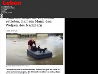 Bild zum Artikel: Während Leute ihr Eigentum retteten, half ein Mann den Welpen des Nachbarn