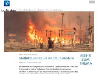 Bild zum Artikel: Trockenheit in Italien: Mehr als 100 Brandeinsätze auf Sizilien