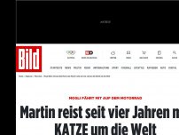 Bild zum Artikel: Mogli fährt mit Motorrad - Martin reist seit vier Jahren mit KATZE um die Welt