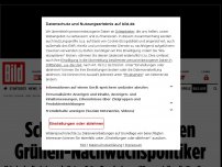 Bild zum Artikel: SEXUELLE BELÄSTIGUNG - Schwere Vorwürfe gegen Grünen-Nachwuchspolitiker