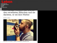 Bild zum Artikel: Der bärtige Tierarzt war nett zu den verwaisten Kätzchen und sie dachten, er sei ihre Mutter