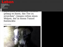 Bild zum Artikel: „Erst nach dem dritten Versuch, gelang es ihnen, das Tier zu erreichen”: Jungen retten einen Welpen, der in einem Tunnel feststeckte