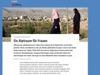 Bild zum Artikel: Ein Alptraum für Frauen