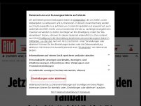 Bild zum Artikel: Taliban machen Flughafen dicht - Kabul wird zum Gefängnis für Ortskräfte