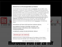 Bild zum Artikel: Mit Todeslisten durch Kabul - Taliban streifen mordend von Tür zu Tür