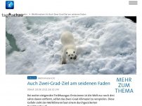 Bild zum Artikel: Weltklimabericht: Auch Zwei-Grad-Ziel am seidenen Faden