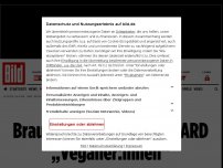 Bild zum Artikel: Erst islamist*innen, jetzt das ... - Braunbären sind bei der ARD „Veganer:innen“