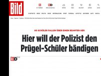 Bild zum Artikel: Die Skandal-Akte der Hamburger Ida-Ehre-Schule - Video zeigt Angriff von 80 Schülern auf Polizist