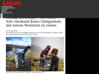 Bild zum Artikel: „König des Berges': der Kater Arlo versäumt keine Gelegenheit, mit seinen Besitzern zu reisen