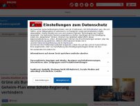 Bild zum Artikel: Jamaika-Koalition als favorisierte Option - Grüne als Bundespräsidentin: Union will mit Geheim-Plan eine Scholz-Regierung verhinden