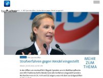 Bild zum Artikel: AfD-Spendenaffäre: Strafverfahren gegen Weidel eingestellt