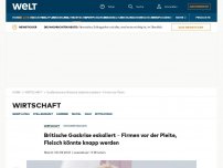 Bild zum Artikel: Britische Gaskrise eskaliert - Firmen vor der Pleite, Fleisch könnte knapp werden