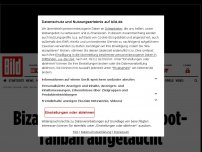 Bild zum Artikel: Bis an die Zähne bewaffnet - Bizarre Bilder von Tretboot-Taliban aufgetaucht
