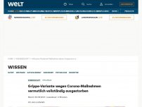 Bild zum Artikel: Grippe-Variante wegen Corona-Maßnahmen vermutlich vollständig ausgestorben