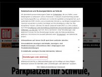 Bild zum Artikel: Schräge Idee aus Hanau - Parkplätze für Schwule und Migranten