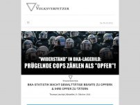Bild zum Artikel: BKA-Statistik macht gewalttätige Beamte zu Opfern & ihre Opfer zu Tätern