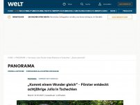 Bild zum Artikel: Achtjährige Julia in Tschechien gefunden