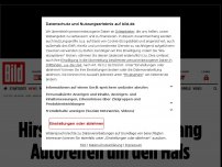 Bild zum Artikel: Mit Gummi durch die Wildnis - Hirsch trug zwei Jahre lang Autoreifen um den Hals