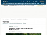 Bild zum Artikel: Mehr als 1000 Jahre altes Maya-Kanu lässt Spekulationen zu