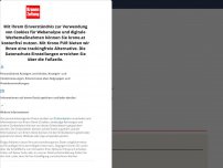 Bild zum Artikel: Corona-Beratungen: 2G kommt in ganz Österreich!