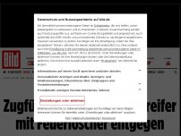 Bild zum Artikel: Syrer sticht Fahrgäste im ICE 928 nieder - Zugführer stellte sich Angreifer mit Feuerlöscher entgegen