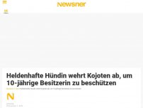 Bild zum Artikel: Heldenhafte Hündin wehrt Kojoten ab, um 10-jährige Besitzerin zu beschützen