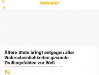 Bild zum Artikel: Ältere Stute bringt entgegen aller Wahrscheinlichkeiten gesunde Zwillingsfohlen zur Welt