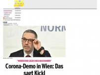 Bild zum Artikel: Corona-Demo in Wien: Das sagt Kickl