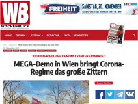 Bild zum Artikel: MEGA-Demo in Wien bringt Corona-Regime das große Zittern