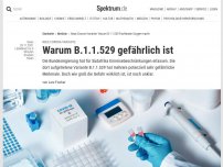 Bild zum Artikel: Neue Corona-Variante: Warum B.1.1.529 gefährlich ist