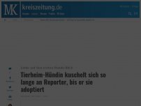 Bild zum Artikel: Tierheim-Hündin kuschelt sich so lange an Reporter, bis er sie adoptiert <br/>