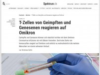 Bild zum Artikel: Covid-19: T-Zellen von Geimpften und Genesenen reagieren auf Omikron