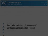 Bild zum Artikel: Aus Liebe zu Baby: „Problemhund“ wird zum sanften besten Freund