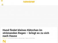 Bild zum Artikel: Hund findet kleines Kätzchen im strömenden Regen – bringt es zu sich nach Hause