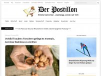 Bild zum Artikel: Vorbild Trauben: Forschern gelingt es erstmals, kernlose Walnüsse zu züchten