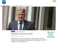 Bild zum Artikel: Meuthen verlässt die AfD