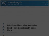 Bild zum Artikel: Gehörloser Mann adoptiert tauben Hund – ihre Liebe braucht keine Worte