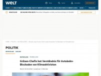 Bild zum Artikel: Grünen-Chefin hat Verständnis für Autobahn-Blockaden von Klimaaktivisten