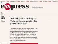 Bild zum Artikel: Der Fall Zadic: 73 Plagiats-Teile in Doktorarbeit – das ganze Gutachten