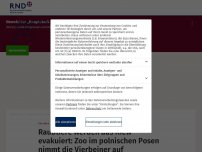 Bild zum Artikel: Raubtiere werden aus Kiew evakuiert: Zoo im polnischen Poznan nimmt die Vierbeiner auf